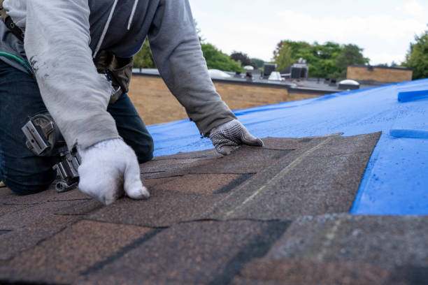 Best Chimney Flashing Repair  in Bolivar, OH